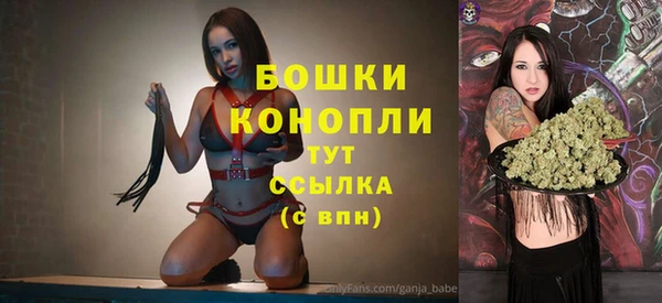 apvp Иннополис