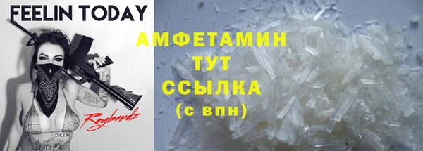 твердый Инта