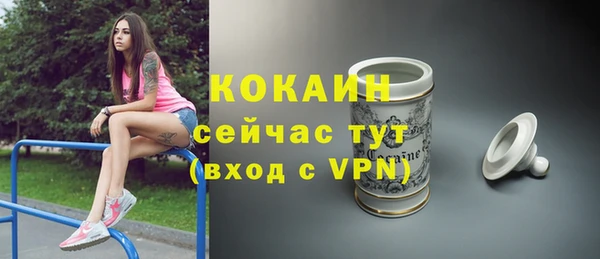 твердый Инта