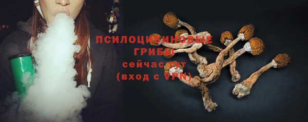 соль курить ск Инсар