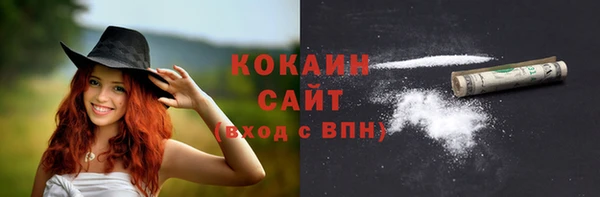 твердый Инта
