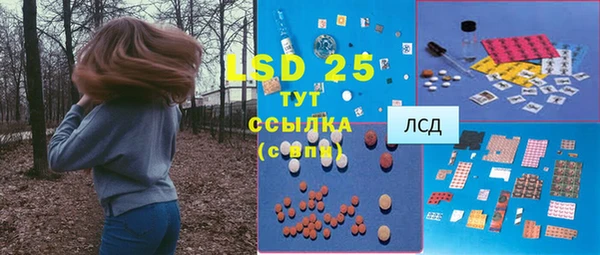 твердый Инта