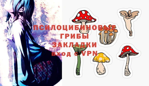 соль курить ск Инсар
