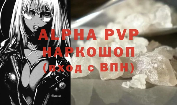 твердый Инта