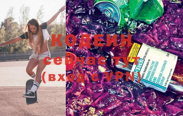 apvp Иннополис