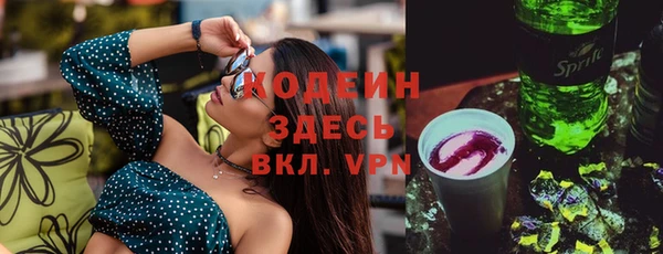 apvp Иннополис