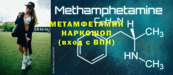 твердый Инта