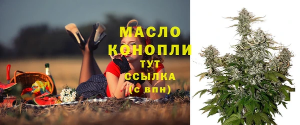 твердый Инта