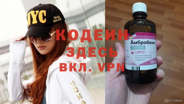 apvp Иннополис