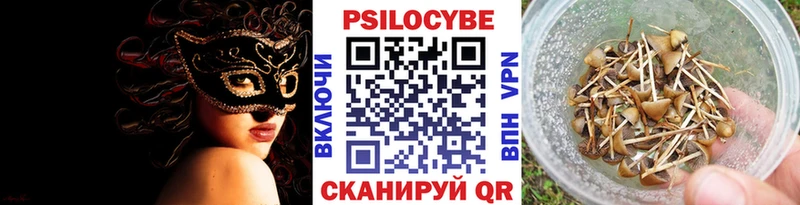 Галлюциногенные грибы Psilocybe Купить Енисейск